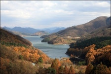 [충북 충주]12월의 가볼만한 곳①