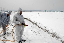 가축보험도 못받는 AI의 악몽 아프냐, 나도 아프다