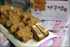[경남 창원]5월의 가볼만한 곳⑨