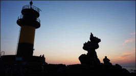 진짜 제주를 만나러 가는 길 비양도 캠핑