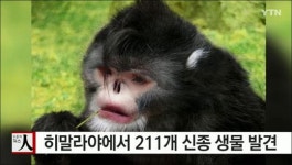 육지서 걷는 물고기 등 211개 신종 생물 발견