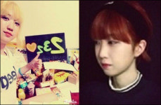 연애혁명 작가 232 일진 미화? 정말 양아치처럼 담아