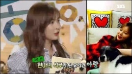 동물농장 현아 애견 공개, 신동엽 개가 되고 싶다