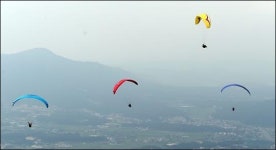 20대 회사원 패러글라이딩 중 난기류로 추락, 중태