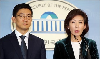 새누리 원대 경선…수면에선 정우택,  물밑에선 나경원 유리