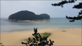 미군 정보장교의 한국사랑 민둥산을 수목원으로