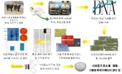 농진청, 토종 흑염소 위에서 분해능력이 뛰어난 효소 발견