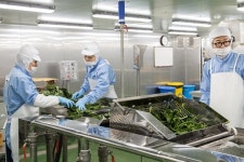 식품업계, 돌파구는 HMR뿐?…시장 확대에 총력