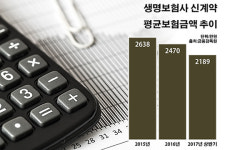 박리다매 영업 치중하는 생보사…성장엔진 냉각될 판