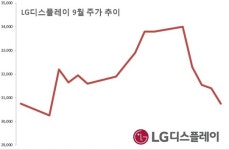 중국 공장투자 여부에 휘청이는 LG디스플레이株 