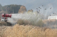 경남 고성군, AI 차단방역에 총력…사육농가는 AI 발견없어