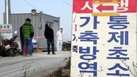 농식품부, ‘AI 방역소홀’ 축산계열화사업자 다솔 수사 의뢰