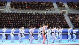 태권도시범 평양공연에 박수치던 北, 방탄소년단 파이어에 ‘얼음’