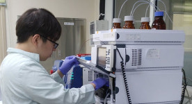 살충제 계란 근절…정부, 산란계 농장 위생·안전관리 강화