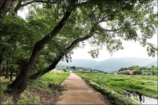 [이창수의 지리산 산책 ⑨] 푸른 물빛의 산골 물옆 숲 ‘취간림’