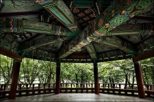 [이창수의 지리산 산책 ⑨] 푸른 물빛의 산골 물옆 숲 ‘취간림’