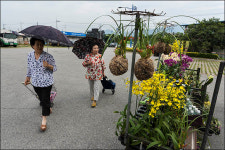 [이창수의 지리산 산책 ⑪] 살짝 엿보는 구례장 인심