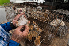 [이창수의 지리산 산책 ⑪] 살짝 엿보는 구례장 인심