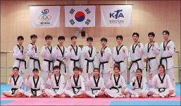 <포토>태권도 대표팀 종주국의 금빛 발차기