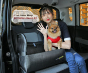 기아차 반려동물 맞춤형 레이·튜온펫 구경 오세요 