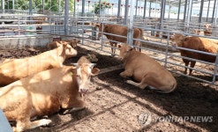 무허가축사 적법화, 이행계획서는 내지만…‘난제’는 여전