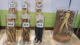 인삼죽염진해대리점.광포식품 | 인삼의 식품산업화 시동…트렌드 맞춘 인삼칩·인삼죽·젤리 등 개발