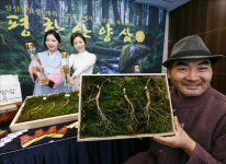 <포토> 자연에서 자란 산양삼으로 건강관리 하세요~