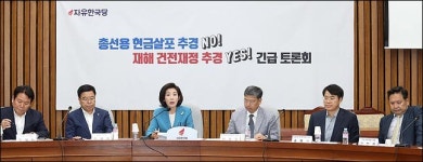 나경원 원내대표 재해 및 전전재정 추경 긴급토론회 발언