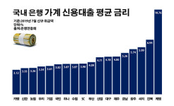 경화헤어뱅크 | 케이뱅크 대출 이자율 폭등…'돈맥경화 악순환'