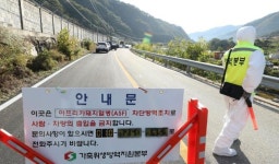 화천 양돈농장서 1년 만에 ‘아프리카돼지열병’ 발생