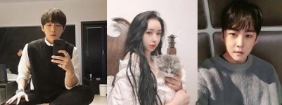 [D기획┃여전한 BJ 일탈①] “돈이 최고”…편법에, 규제 무시까지