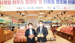 롯데마트, 국립원예특작과학원과 협력해 신품종 ‘창조배’ 출시