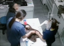 탈취제 학대 광주 동물병원, 앞에선 사과 뒤에선 견주 고소