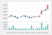 [특징주] LG화학, 테슬라 급등에 장중 100만원 돌파