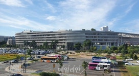 탈원전 정책 액땜은 공무원 몫?…세종청사 절전 강행 사태