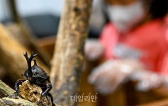 [新농사직썰 ③] 6000억원대 곤충시장…’블루오션’을 잡아라