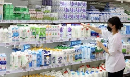 남양유업, 14일부터 우유 제품 가격 평균 4.9% 인상