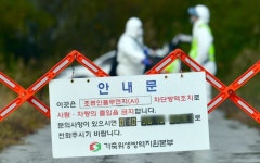 전남 담양 육용오리 농장에서 고병원성 AI 확진