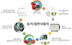 인공지능으로 딸기 병해 진단・조치 방법 알려준다