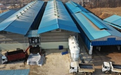 경기 화성 산란계 2개 농장서 고병원성 AI 확인