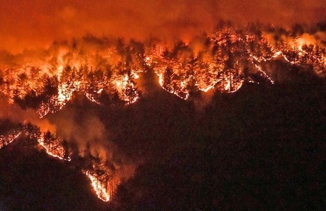 경북 울진 산불, 초속 3.2m 바람 어려움 속 진화작업 중