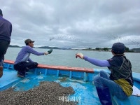 수산자원공단, 완도 앞바다 꼬막 종자 206만마리 방류