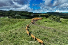 [新농사직썰㊷] 과거・현재・미래…한우 70년사와 함께한 ‘한우연구소’