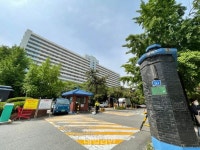 4000세대 잠실5단지 재건축, 초등학교 부지 문제로 올스톱 위기