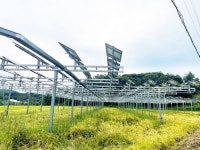 쌀농사 지으며 전기도 판다…농촌 살리는 영농형태양광