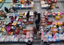 “수산 자금, 수산인들에 사용해야”…입법화