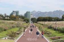 성큼 다가온 가을, 하늘공원 산책하는 시민들