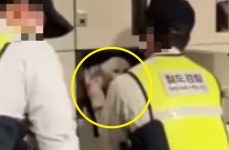 동대구역 물품보관함서 물 뚝뚝?…열어보니 강아지 갇혀 '벌벌'