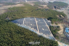 [2022 국감] 신재생 가격 떨어진다더니…태양광 전기 생산가격, 원전의 3.5배