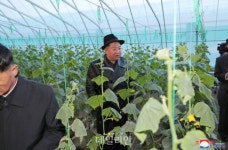230일의 기적…김정은, 온실농장 준공식 참석해 애민정신 부각